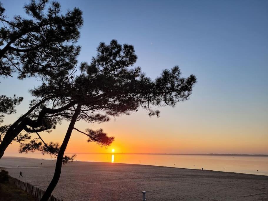 Maison Centre-Ville De La Teste Au Calme Zewnętrze zdjęcie